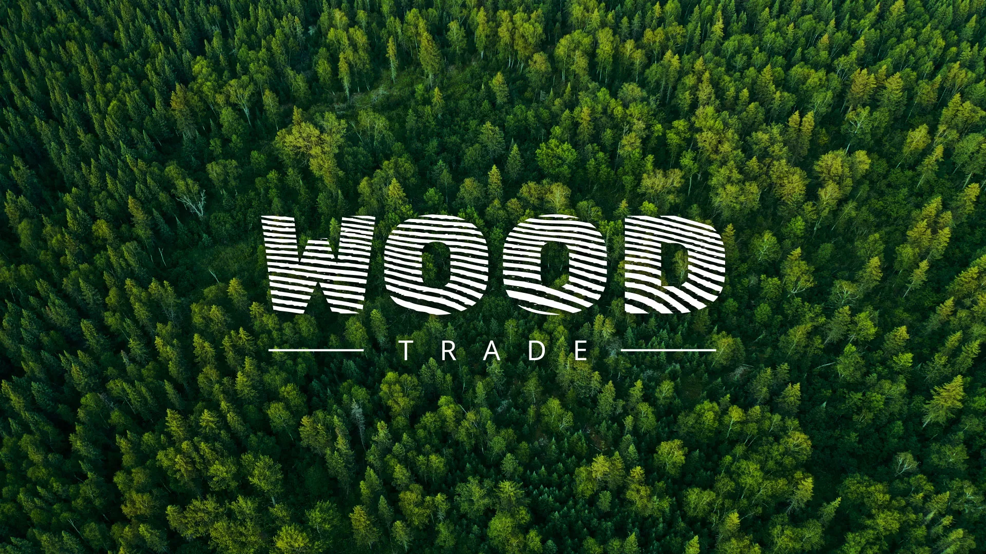 Разработка интернет-магазина компании «Wood Trade» в Киреевске